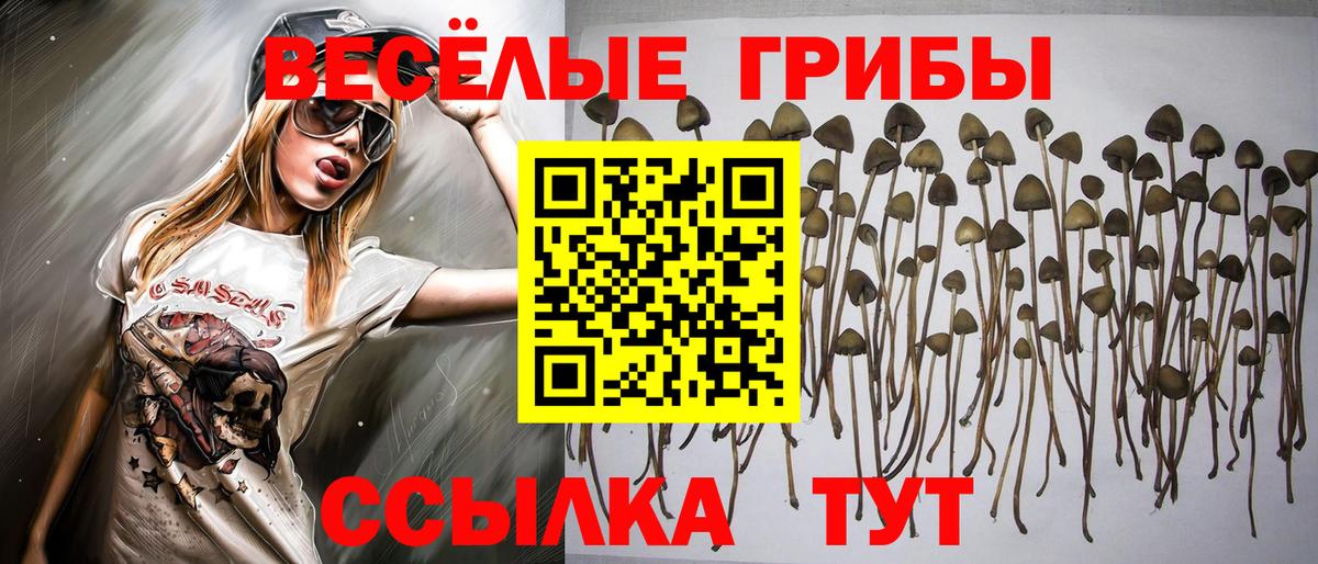 Галлюциногенные грибы мухоморы  Вход с VPN  Кинель 