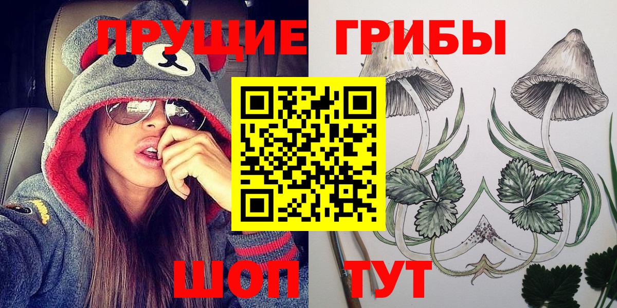 Псилоцибиновые грибы прущие грибы Кинель
